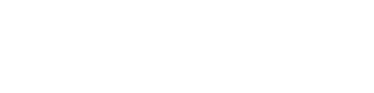 Perplexity